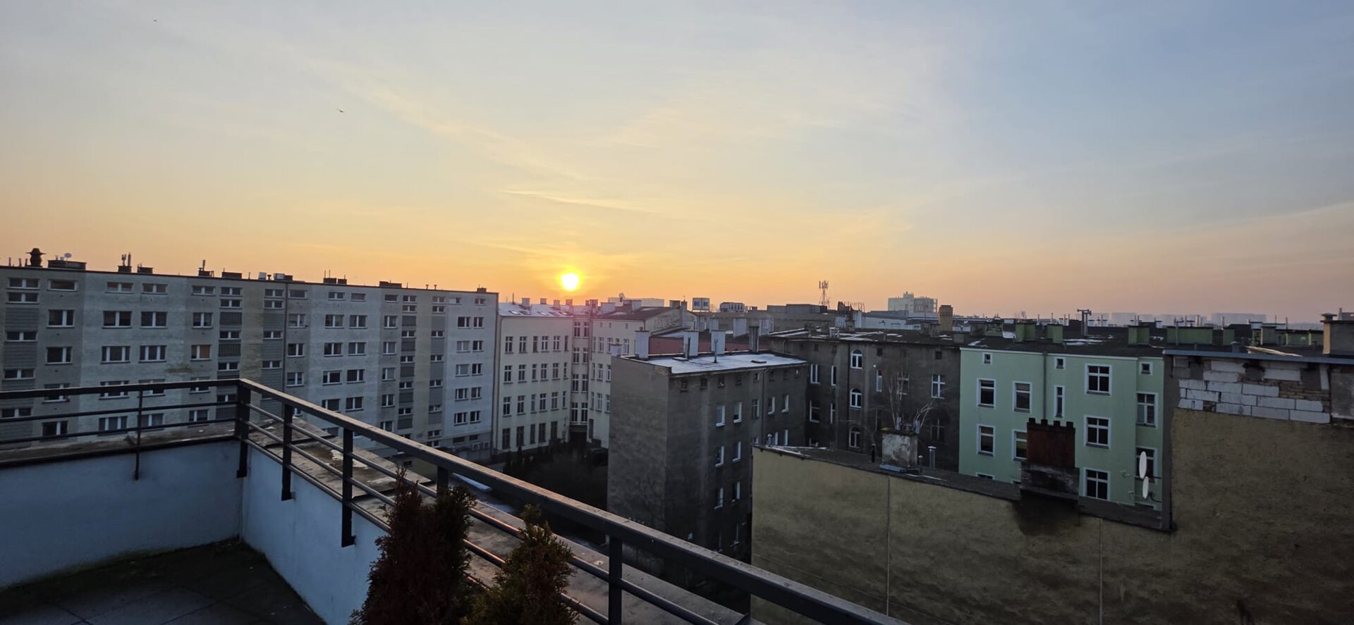 WHITE FROG SPÓŁKA Z OGRANICZONĄ ODPOWIEDZIALNOŚCIĄ - 12