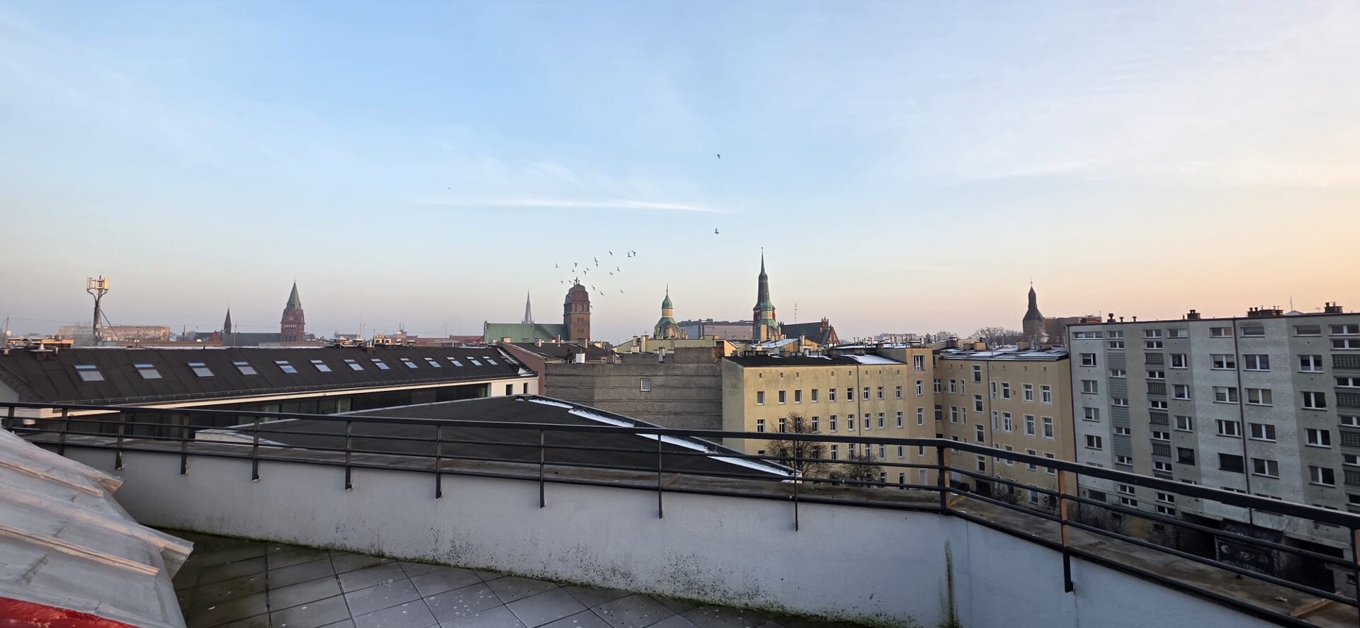 WHITE FROG SPÓŁKA Z OGRANICZONĄ ODPOWIEDZIALNOŚCIĄ - 14